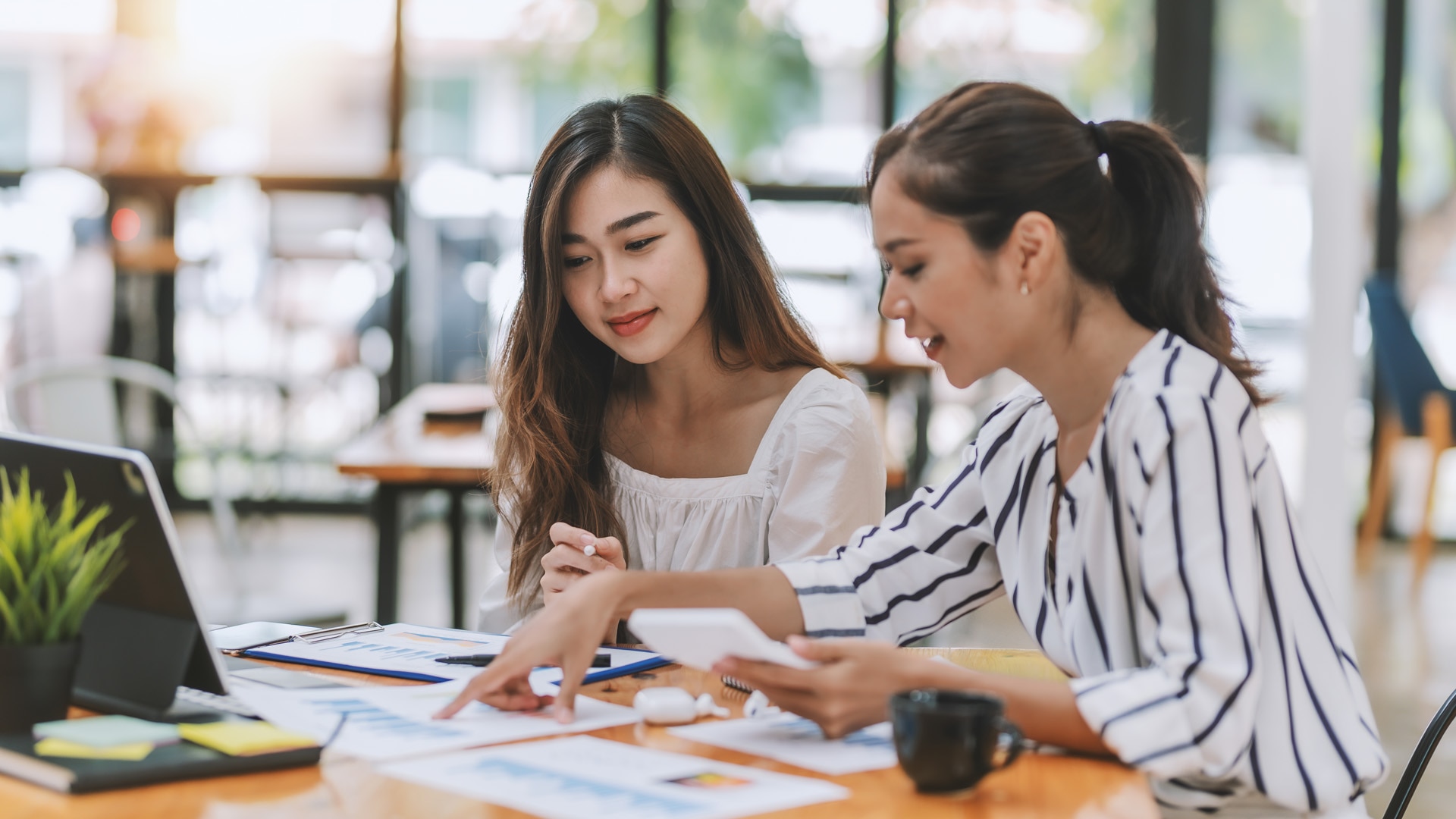 Two asian business women working, planning, talking